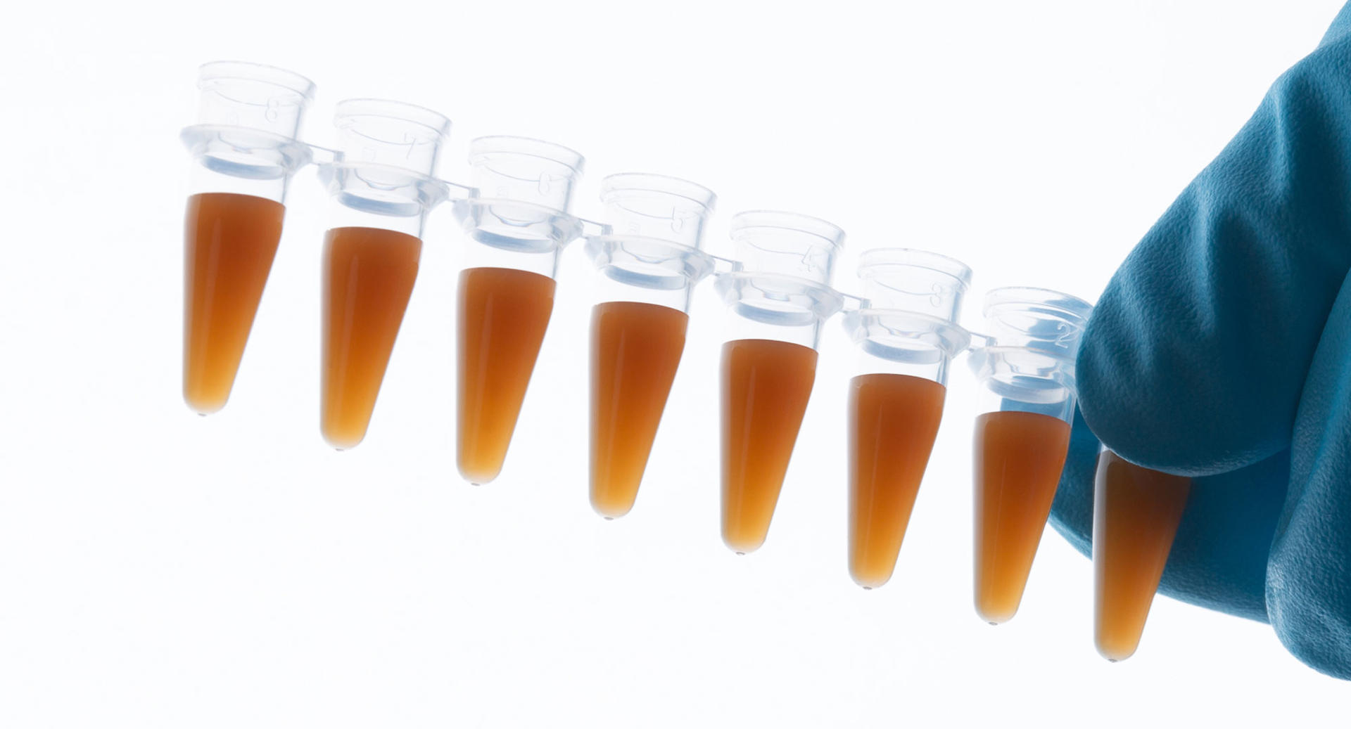 DNA和RNA純化方法